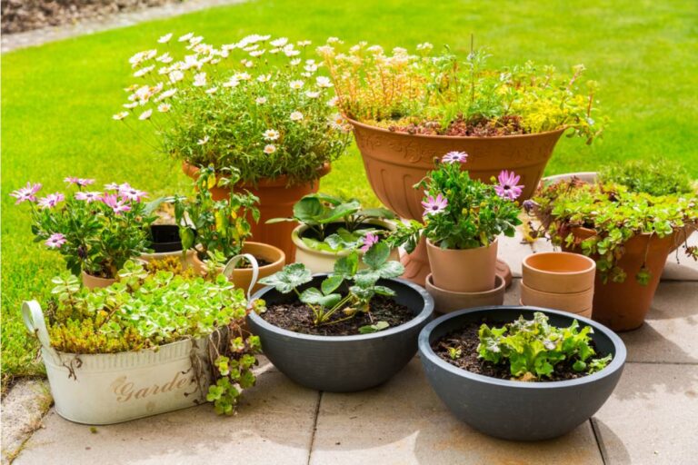 Gardener Says Her HOA Fined Her for Growing Vegetables in Pots on Her Own Patio, Now She's Taking the Fight to a Lawyer