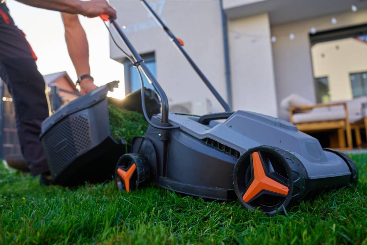 Gardener Says Her Neighbor Keeps Mowing Right Up to Her Flower Beds and Destroying the Edges, Now She's Marking the Line With Bricks and People Are Calling Her Petty