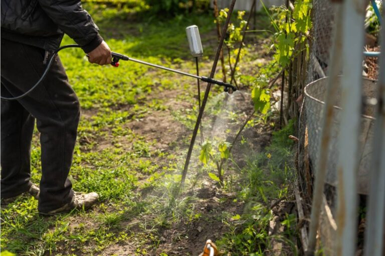 Gardener Says Her Neighbor Keeps Spraying Weed Killer Near the Property Line and Her Plants Keep Dying, Now She's Putting It on Camera
