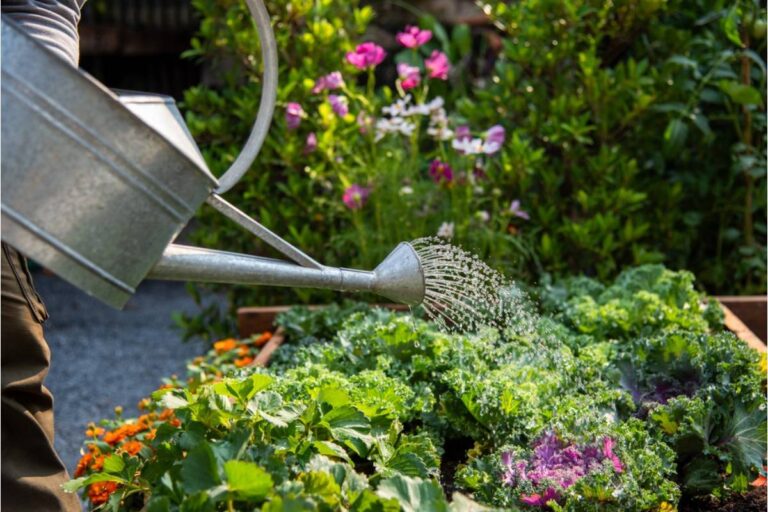 Gardener Says Her Neighbor Offered to Water Her Plants During Vacation, Now Half the Garden Has Been Rearranged