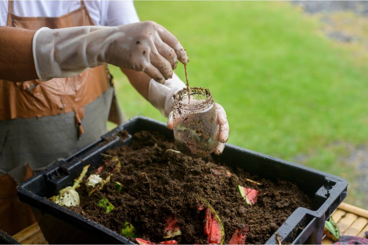 Gardener Says Her Neighbor Started Warning Others About Her Compost Bin, Then Asked for Gardening Advice When His Plants Failed