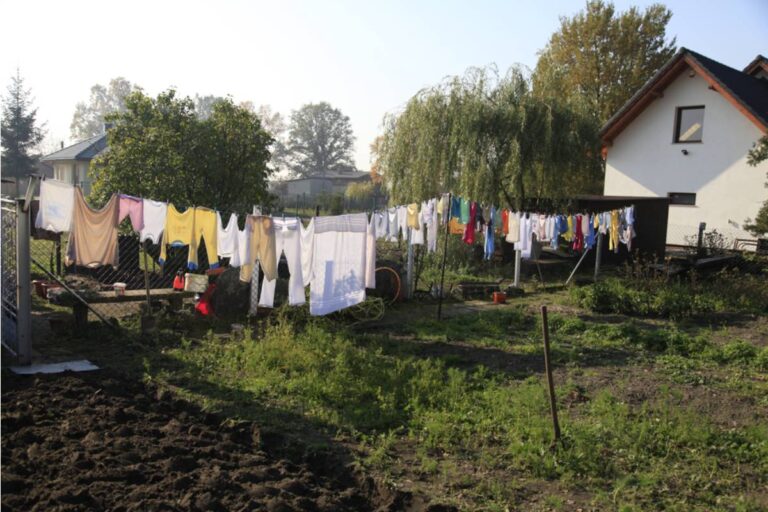 Gardener Says Her Neighbor's Painting Crew Left Drop Cloths Over Her Garden Beds for Days, Now Everything Underneath Has Wilted From Lack of Light
