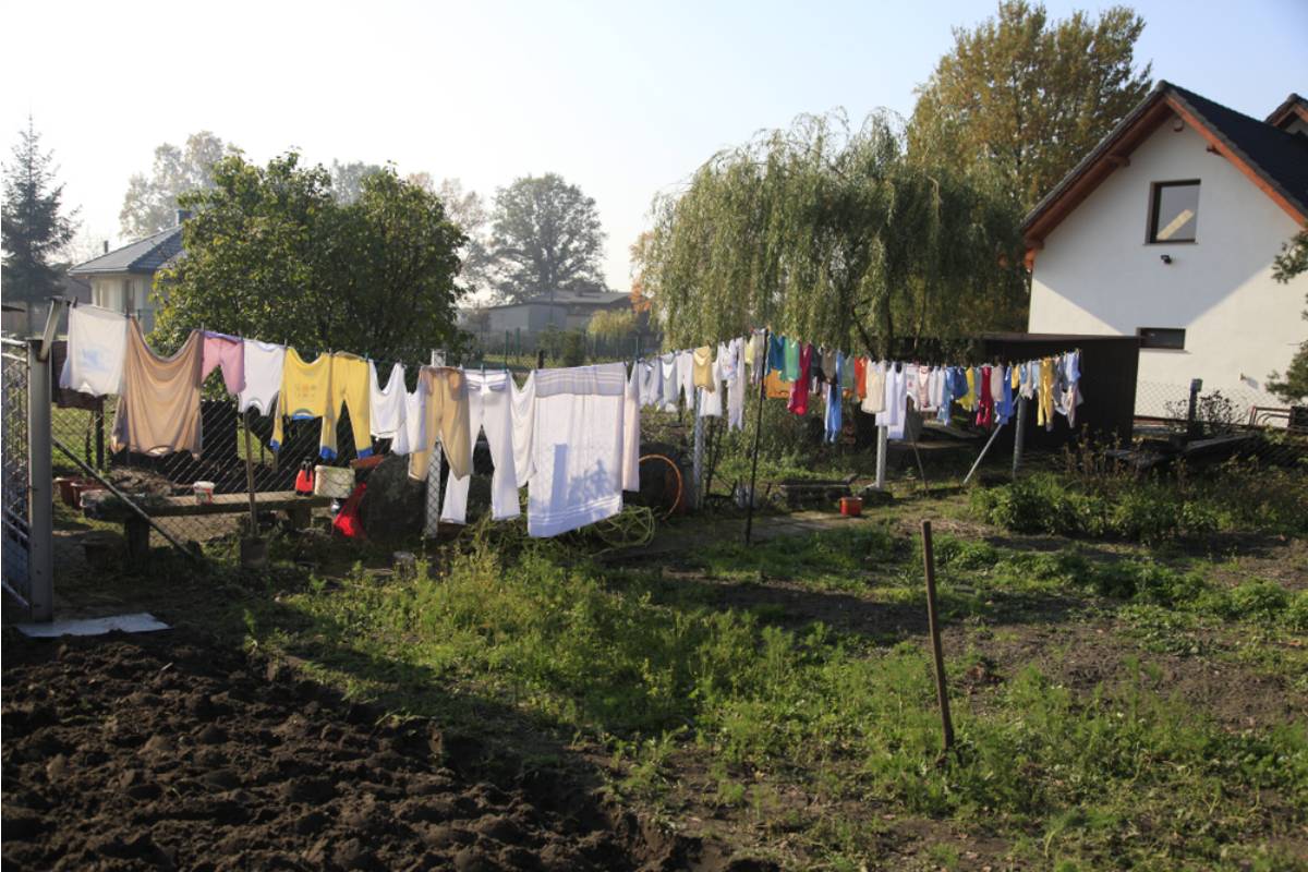 Gardener Says Her Neighbor's Painting Crew Left Drop Cloths Over Her Garden Beds for Days, Now Everything Underneath Has Wilted From Lack of Light