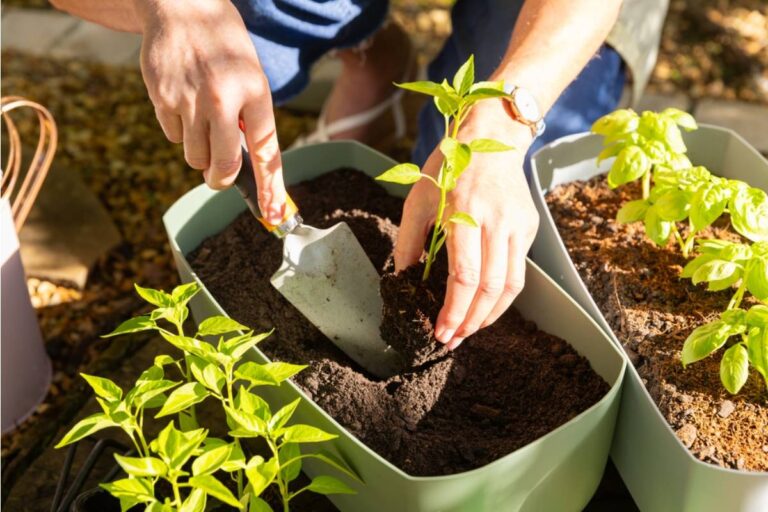 Gardener Says She Accidentally Grew the Wrong Plant for Six Months, And the Surprise Harvest Has People Sharing Similar Stories