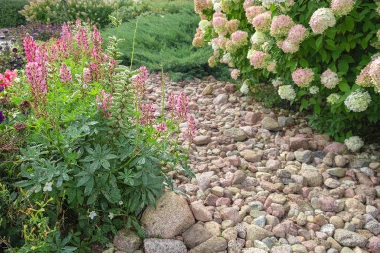 Gardener Says She Built a Beautiful Cottage Garden in Her Front Yard, Then the HOA Sent a Letter Calling It a Visual Disturbance, Now She's Going to the Next Board Meeting