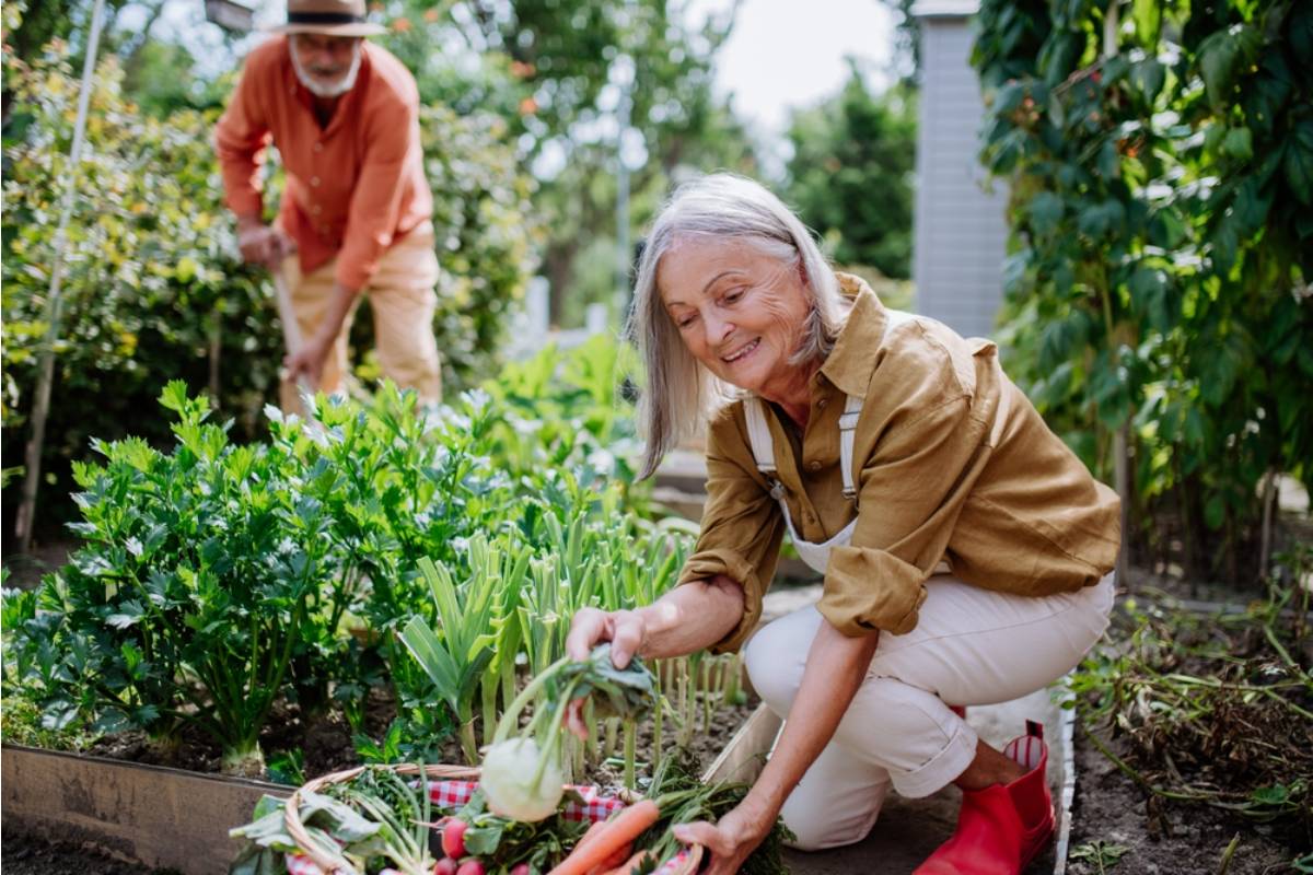 Gardener Says She Built the Most Productive Small Garden on Her Street, Then Her Neighbor Asked to Split the Grocery Savings, She Said She Deserved Credit for Inspiring Her