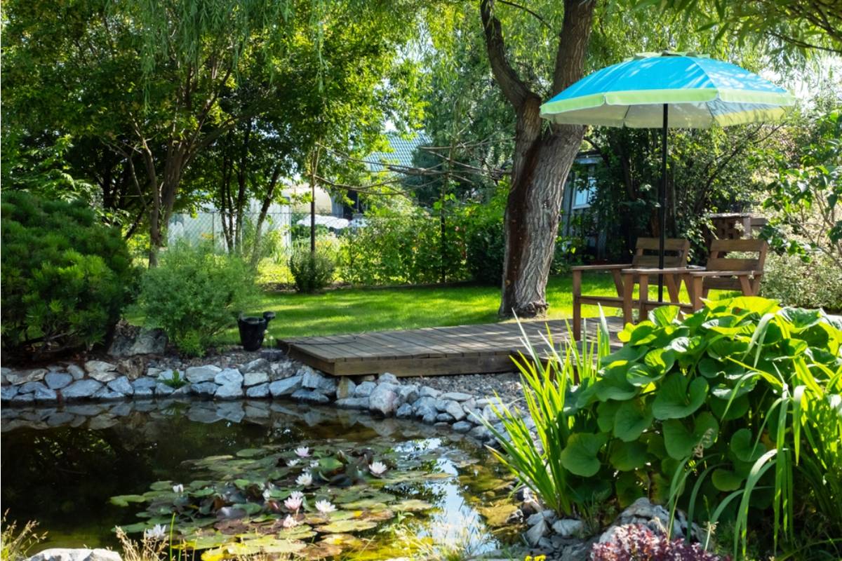 Gardener Says She Caught Her Neighbor Taking Photos of Her Award-Winning Garden to Submit to a Magazine as Their Own