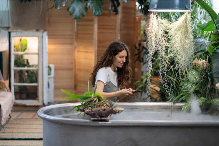 Gardener Says She Discovered Her Garden Has Been Featured on a Stranger's Social Media for Months Without Her Knowing or Being Credited