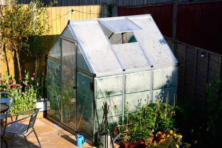 Gardener Says She Finally Got a Greenhouse Approved by the City After Months of Paperwork, Then Her Neighbor Filed a Complaint the Same Week It Was Built