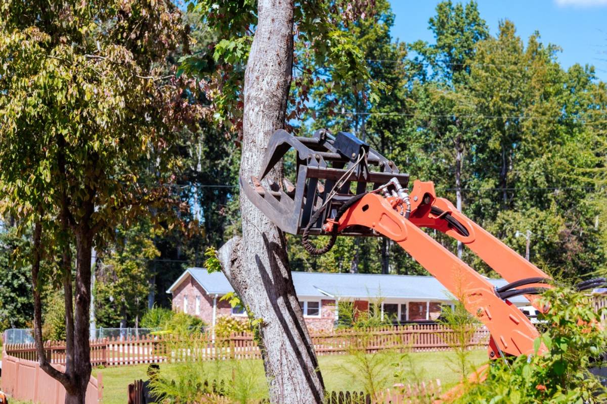 Gardener Says She Found Out Her Late Mother's Garden Was Slated for Demolition by New Owners of the House She Grew Up In