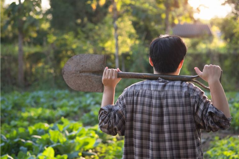 Gardener Says She Has Been Quietly Turning Her Entire Suburban Lot Into a Food Forest for Three Years and Her Grocery Bills Reflect It, Neighbors Thought I Was Crazy