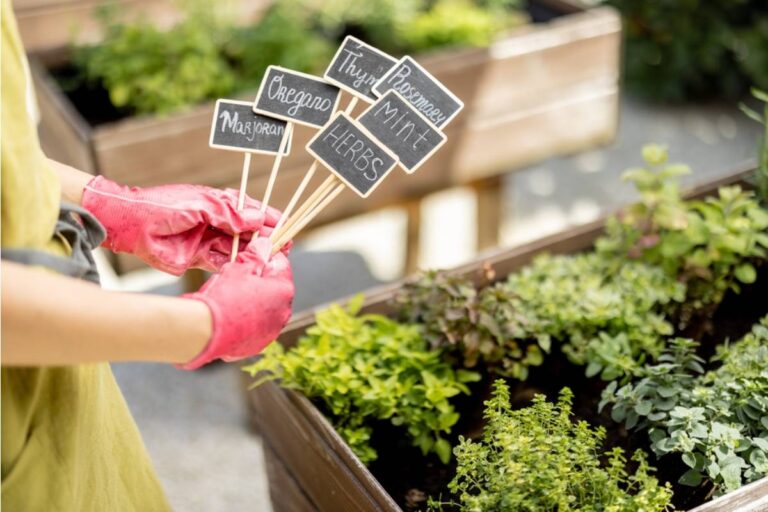 Gardener Says She Labeled Every Plant in Her Garden With Handwritten Markers, Now Someone Keeps Swapping the Labels Just to Confuse Her