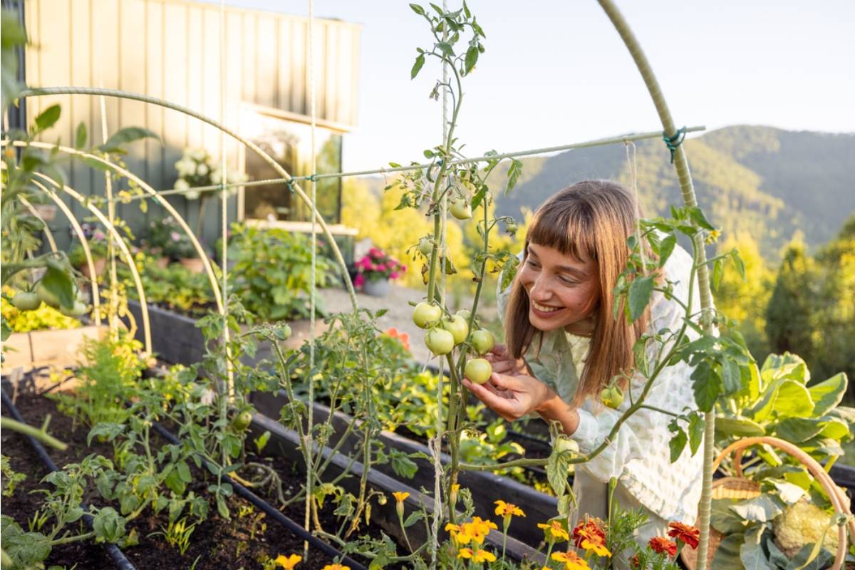 Gardener Says She Offered to Split Her Harvest With Her Neighbor Every Week, Then Caught Him Helping Himself Directly From Her Garden Before She Could Pick Anything