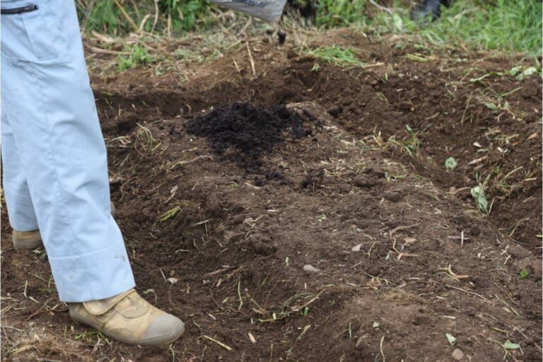 Gardener Says She Spent Years Building Up Her Soil With Compost, Then a Neighbor's Landscaper Tilled in Construction Debris While Helping Without Asking