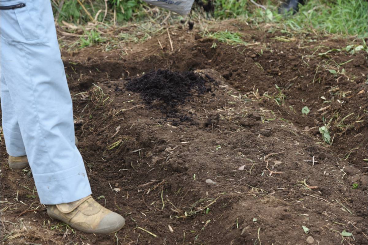 Gardener Says She Spent Years Building Up Her Soil With Compost, Then a Neighbor's Landscaper Tilled in Construction Debris While Helping Without Asking