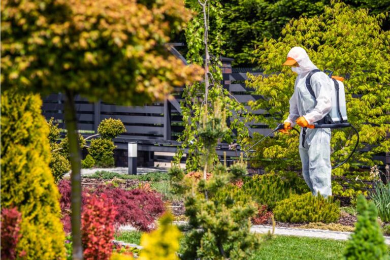 Gardener Says She Spent the Whole Spring Growing a Pollinator Garden, Then Her Neighbor Sprayed Pesticide Right Along the Fence Line, He Said the Bees Were Bothering Him