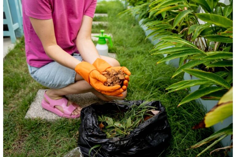 Gardener Says She's Been Composting for Three Years and Her Neighbor Just Reported Her to the City for It, He Said It Was Attracting Rats