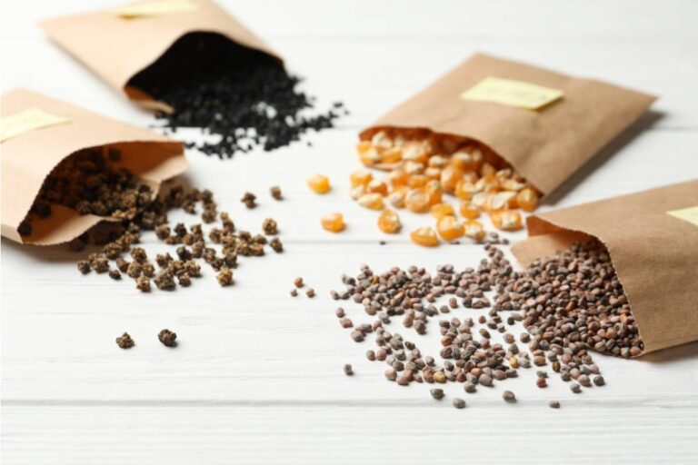 Gardener Says She's Been Saving Heirloom Seeds Passed Down From Her Grandmother for Fifteen Years, Then a Storm Destroyed the Only Plants She Had Left