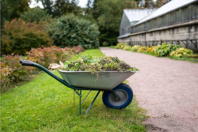 Gardener Says a Neighbor Borrowed Her Wheelbarrow Full of Compost Just for the Weekend Three Months Ago, Now She Wants Both Back and Is Done Being Polite About It