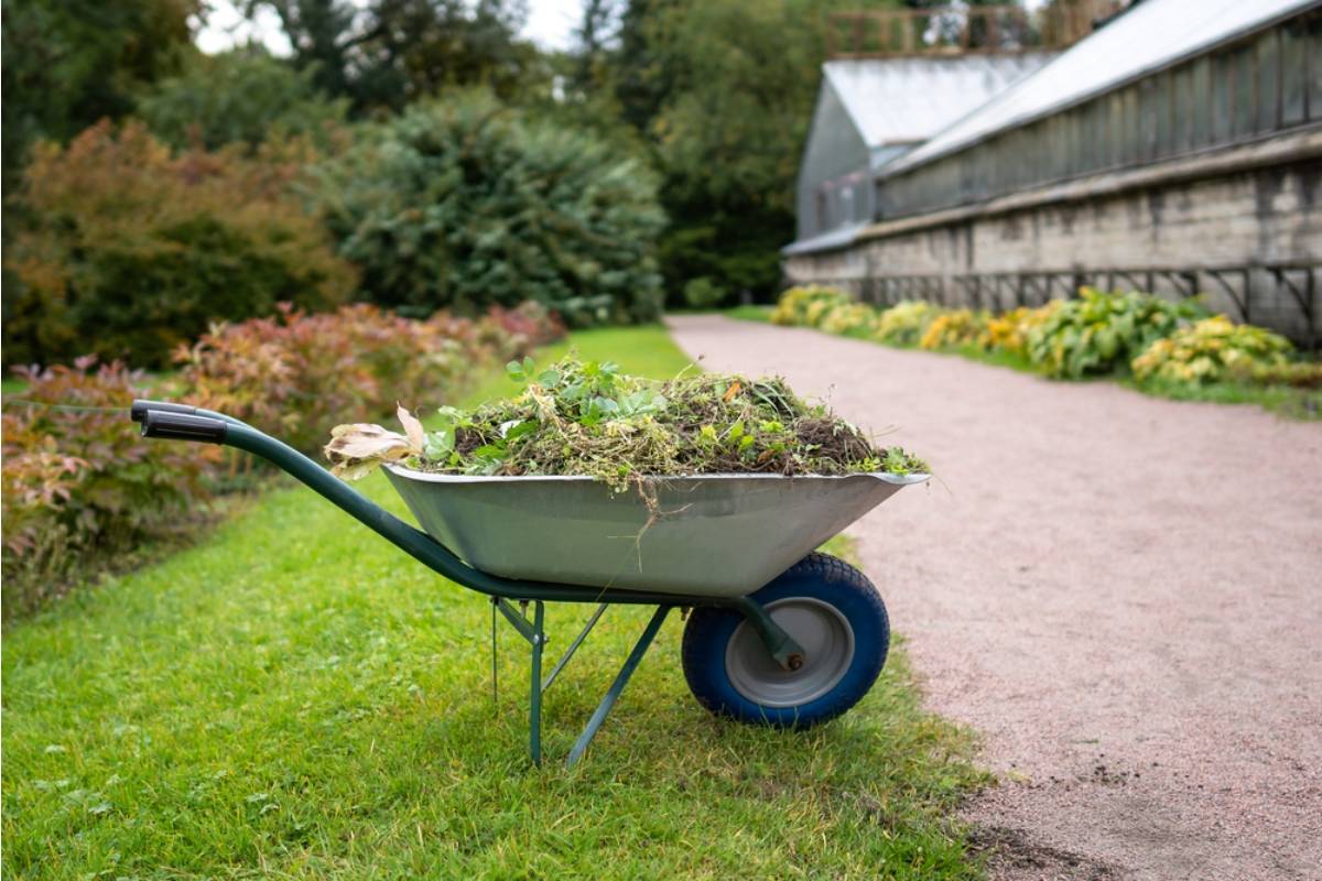 Gardener Says a Neighbor Borrowed Her Wheelbarrow Full of Compost Just for the Weekend Three Months Ago, Now She Wants Both Back and Is Done Being Polite About It