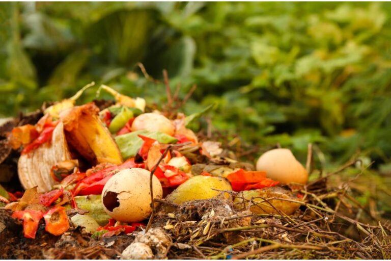 Gardener Says a Neighbor Insists Her Compost Pile Is Devaluing the Whole Street, Now She's Asked an Appraiser to Settle the Argument Once and For All