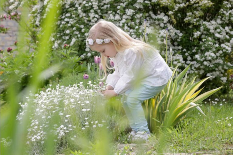 Gardener Says a Neighbor Keeps Letting Her Toddler Pick Flowers From the Front Bed Every Morning on the Walk to the Bus Stop
