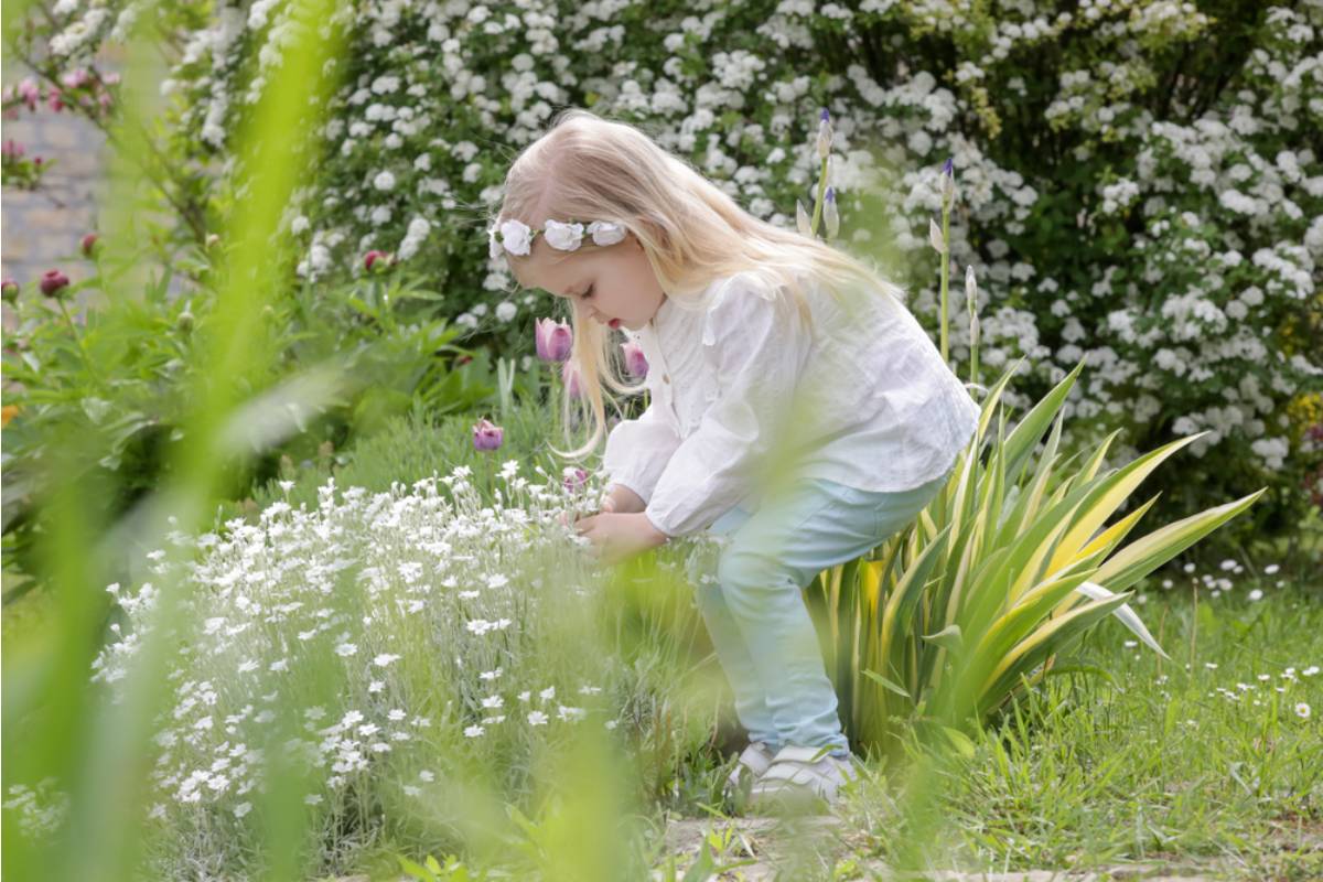 Gardener Says a Neighbor Keeps Letting Her Toddler Pick Flowers From the Front Bed Every Morning on the Walk to the Bus Stop