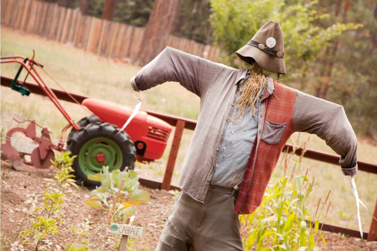 Gardener Says a Neighbor Told Her the Scarecrow in Her Garden Was Scaring Her Children, Now She Refuses to Remove It and the Street Is Choosing Sides