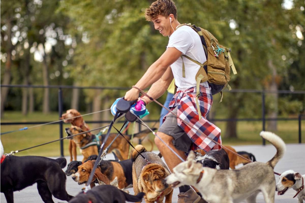 Gardener Says a Neighbor's Dog Walker Lets Multiple Dogs Cut Through Her Yard as a Daily Shortcut
