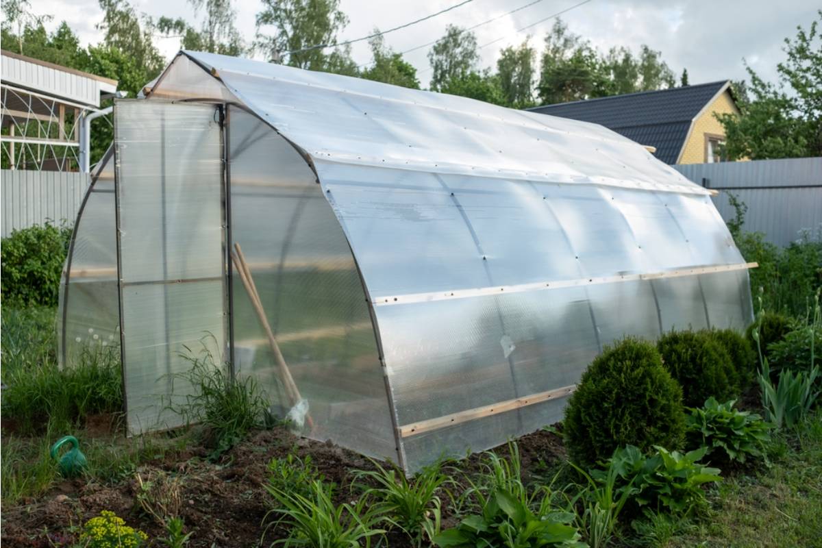 Homeowner Says He Built a Backyard Greenhouse Without Realizing It Cast Shade Onto His Neighbor's Garden, Now They Want Him to Tear It Down Entirely