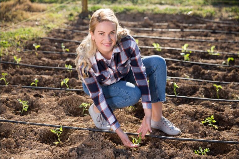 Homeowner Says He Started Charging Friends for Fresh Vegetables After Years of Giving Them Away Free, Now People Are Calling Him Greedy