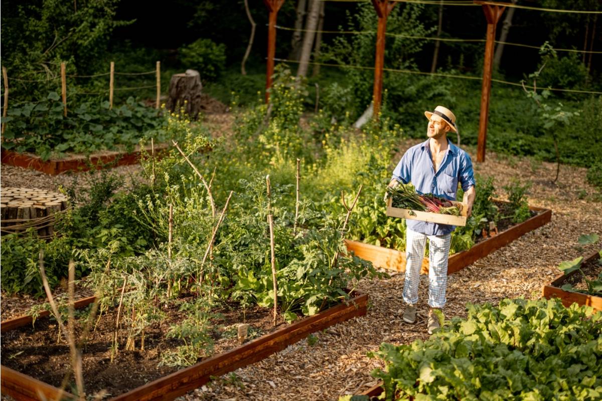 Homeowner Says He Stopped Sharing Produce With One Neighbor, Now the Entire Street Seems to Know About It