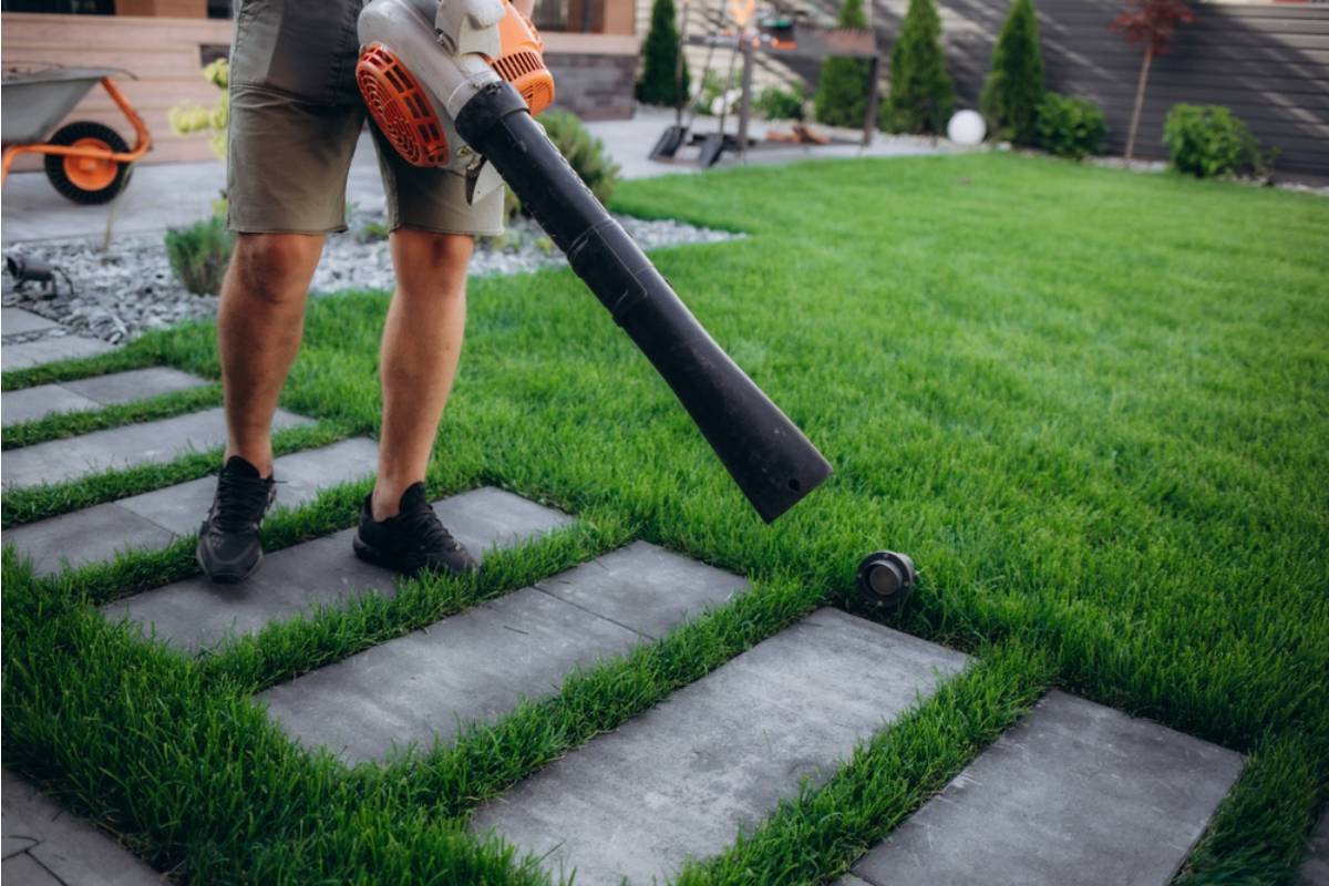Homeowner Says Her Neighbor's Leaf Blower Routine Sends Debris Straight Into Her Open Garden Beds Every Single Week, Now She's Covering Everything in Mesh