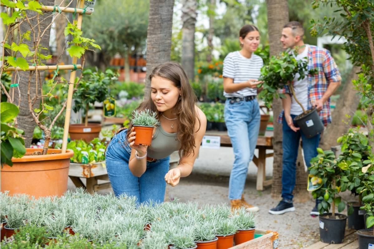 Homeowner Says His Backyard Garden Became So Popular That Guests Spend More Time Looking at the Plants Than Attending Family Gatherings