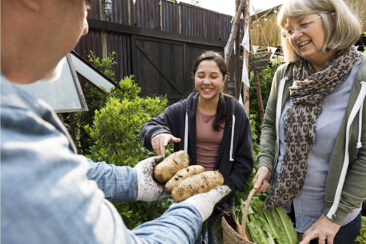 Homeowner Says His Backyard Garden Became So Productive That He Had to Start Giving Away Harvests to Complete Strangers