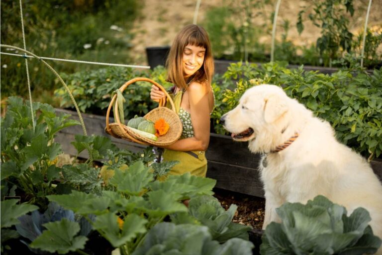 Homeowner Says His Backyard Garden Became a Popular Spot for Neighborhood Pets, Now He’s Spending More Time Managing Animals Than Plants
