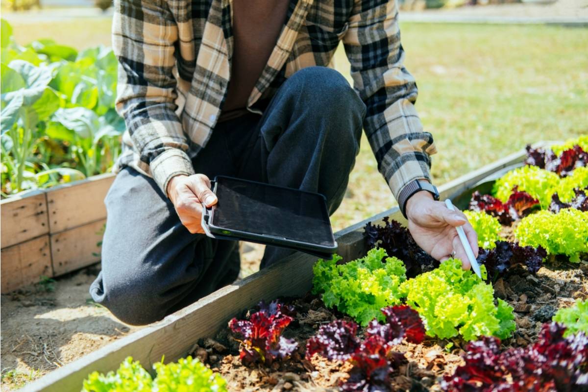Homeowner Says His Garden Became the Most Talked-About Yard on the Street, Now Every Change He Makes Sparks New Opinions