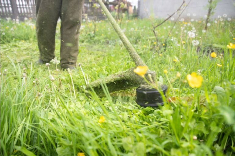 Homeowner Says His Neighbor Hired a Landscaping Crew That Accidentally Mowed Over His Entire Vegetable Patch, Now the Company Is Offering Twenty Dollars and Calling It Even