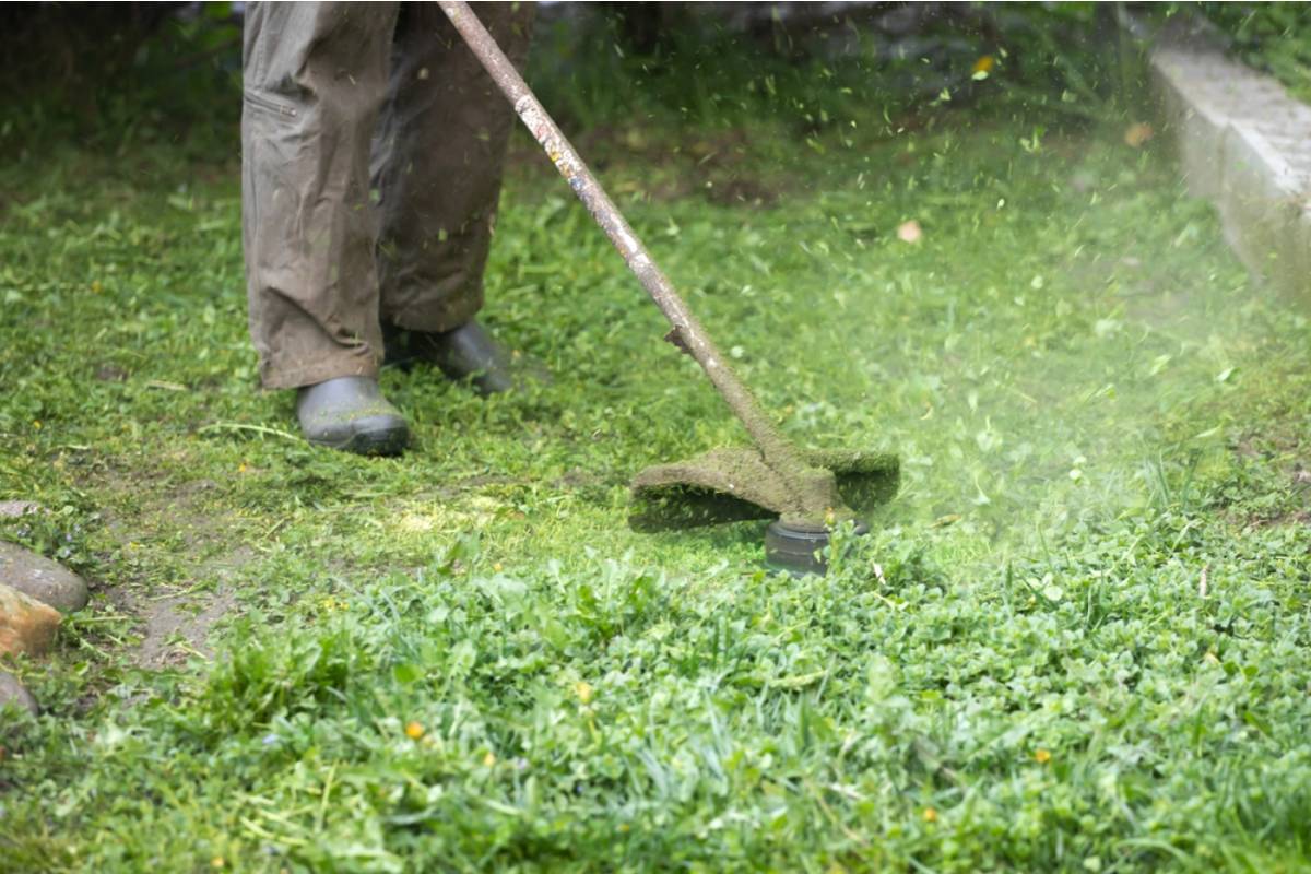 Homeowner Says His Neighbor Keeps Blowing Grass Clippings Into His Garden Beds Every Weekend, Now the Rotting Clippings Are Smothering His Plants