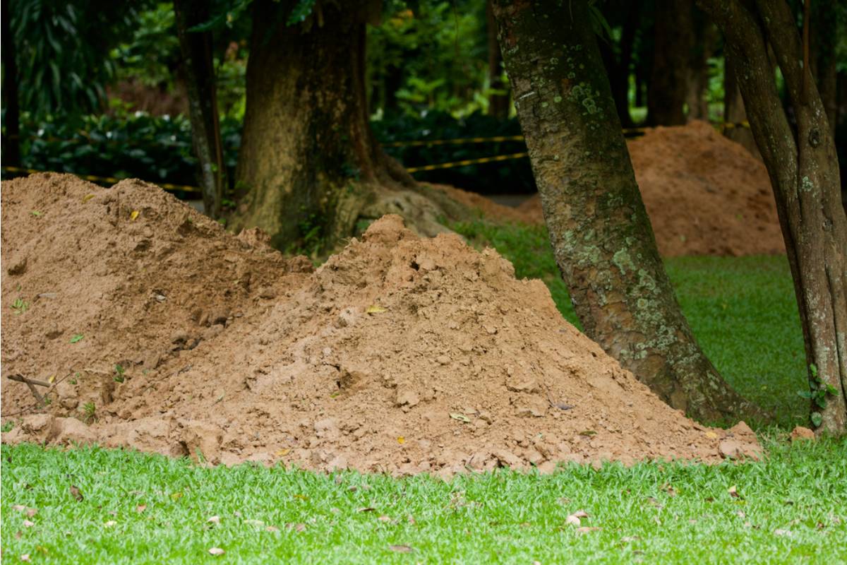 Homeowner Says His Neighbor Keeps Dumping Excess Soil From His Projects Into the Corner of His Garden, Now There Is a Growing Pile Nobody Is Claiming
