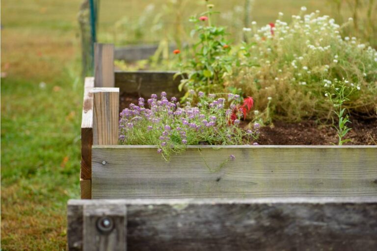 Homeowner Says His Neighbor Keeps Insisting His Raised Garden Beds Are a Fire Hazard Because of the Wood Construction, Now the City Got Involved