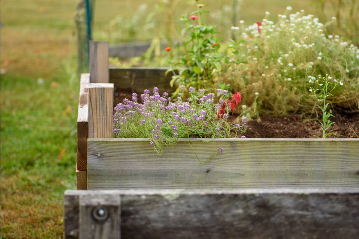 Homeowner Says His Neighbor Keeps Insisting His Raised Garden Beds Are a Fire Hazard Because of the Wood Construction, Now the City Got Involved