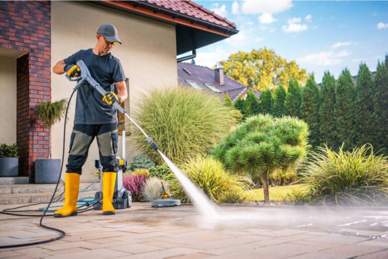 Homeowner Says His Neighbor Pressure-Washed Their Shared Driveway and Flooded His Garden Beds, Now He's Documenting Every Dead Plant for a Claim