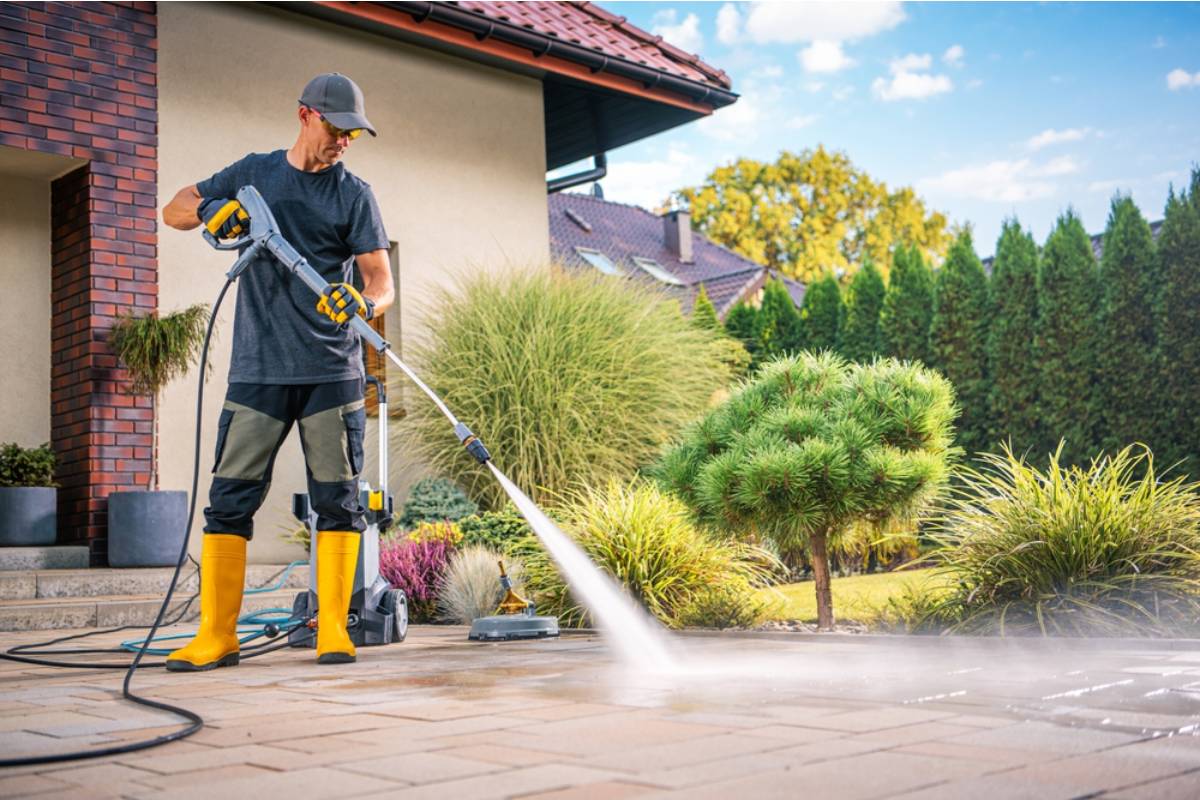 Homeowner Says His Neighbor Pressure-Washed Their Shared Driveway and Flooded His Garden Beds, Now He's Documenting Every Dead Plant for a Claim