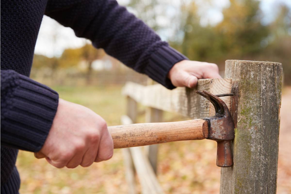 Homeowner Says His Neighbor Removed a Shared Section of Fence Without Warning, Now His Climbing Vegetables Have Nothing Left to Grow On Mid-Season