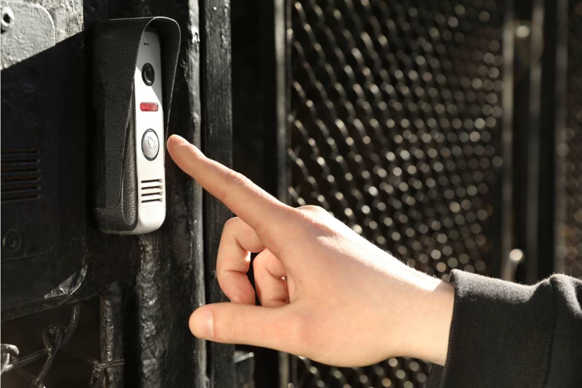 Homeowner Says His Neighbor Started Ringing the Doorbell Every Time a Tomato Looked Ripe, Now He Feels Like He Needs to Harvest in Secret
