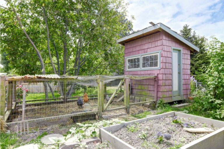 Homeowner Says His Neighbor's New Above-Ground Chicken Coop Smell Has Made It Impossible to Sit in His Own Garden