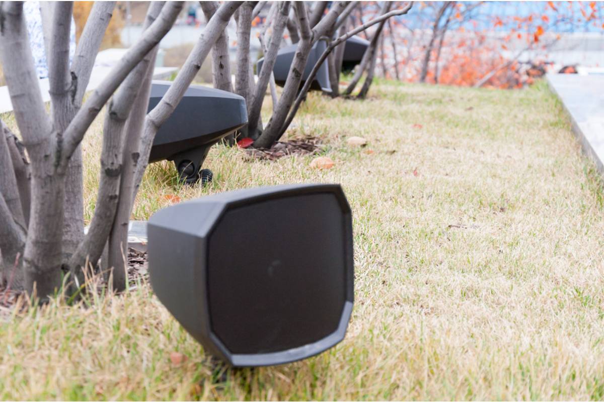 Homeowner Says His Neighbor's New Outdoor Speaker System Plays Music Loud Enough to Vibrate the Soil Near His Seedlings, Now He Swears It's Affecting Germination