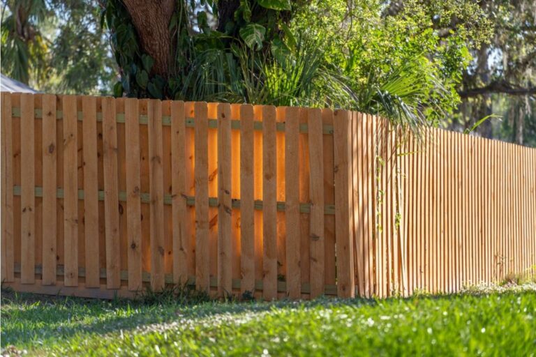 Homeowner Says His Neighbor's New Privacy Fence Is Casting a Shadow Over His Entire Vegetable Garden, Now Half His Crops Are Struggling to Survive