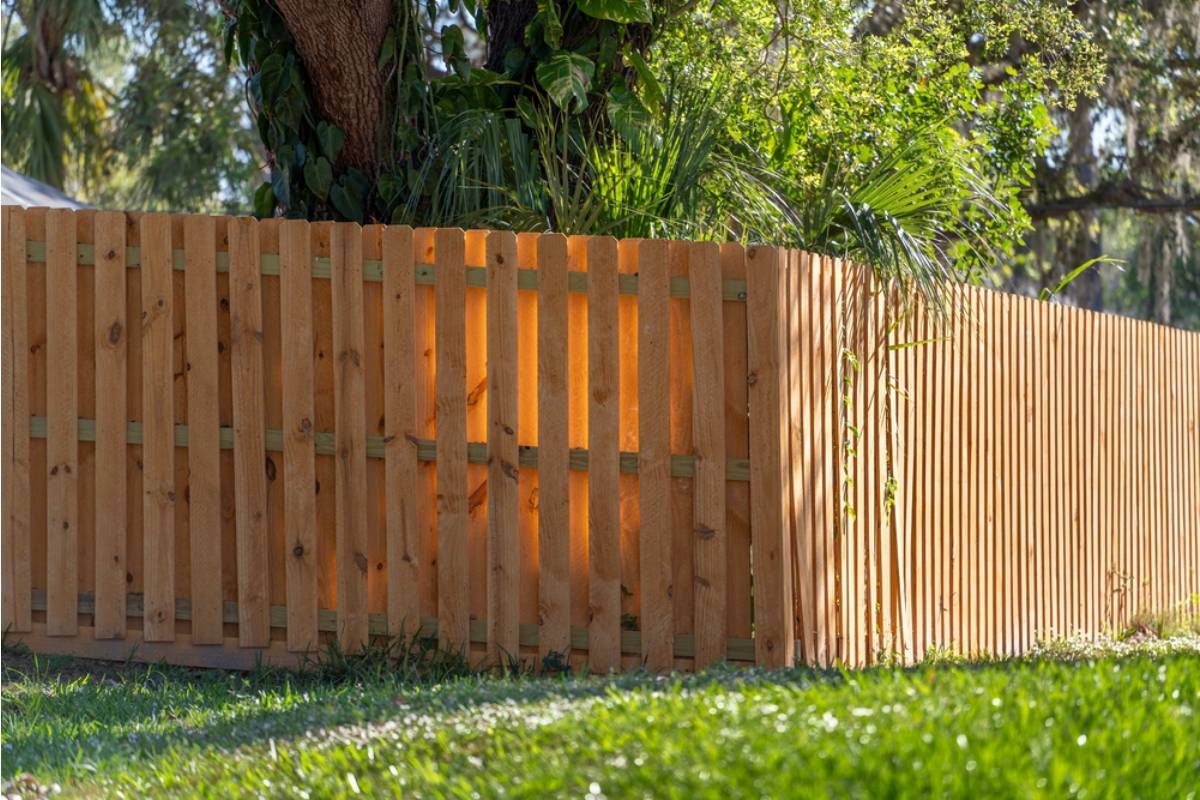 Homeowner Says His Neighbor's New Privacy Fence Is Casting a Shadow Over His Entire Vegetable Garden, Now Half His Crops Are Struggling to Survive